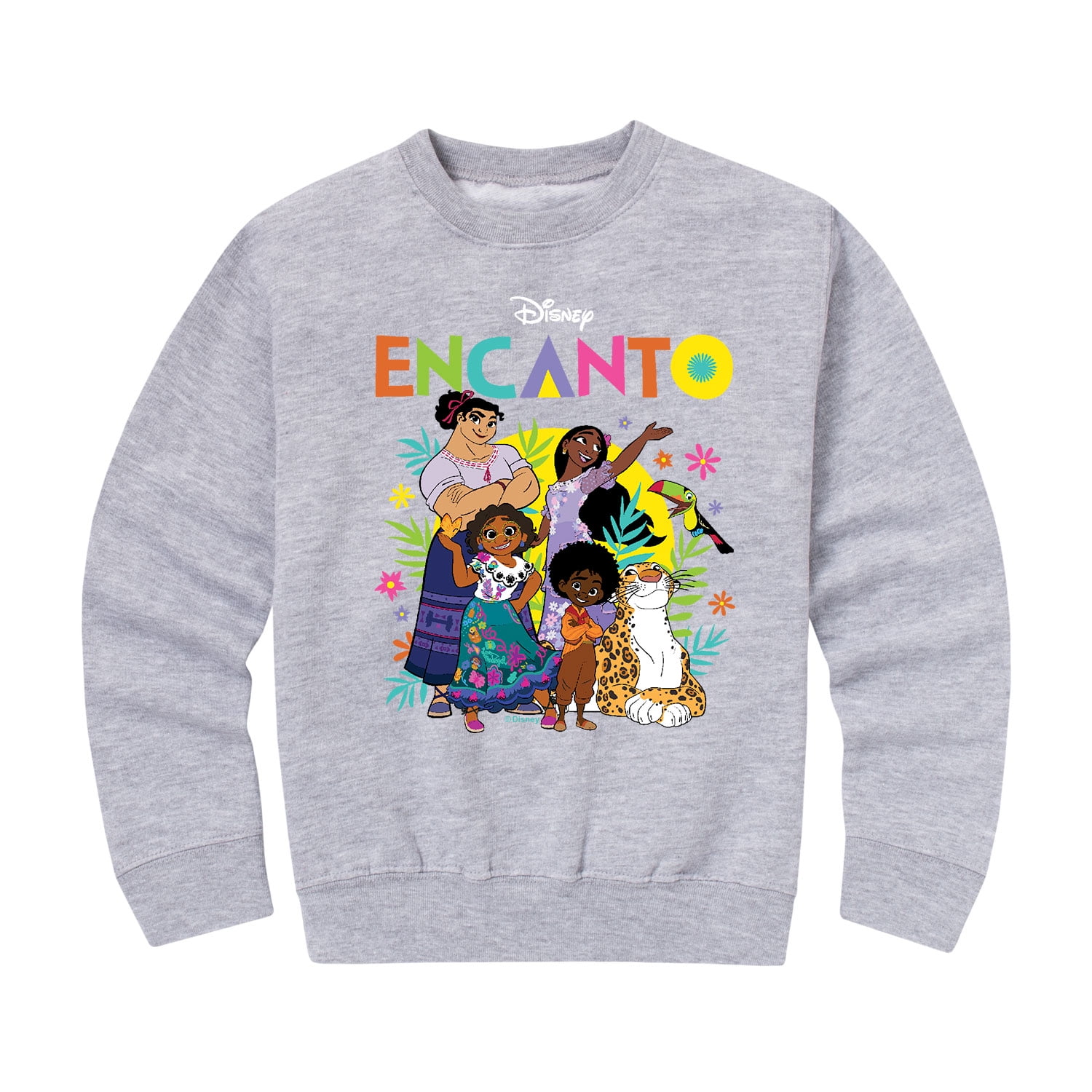 Disney's Encanto - Encanto Character Group - Toddler And Youth Crewneck ...