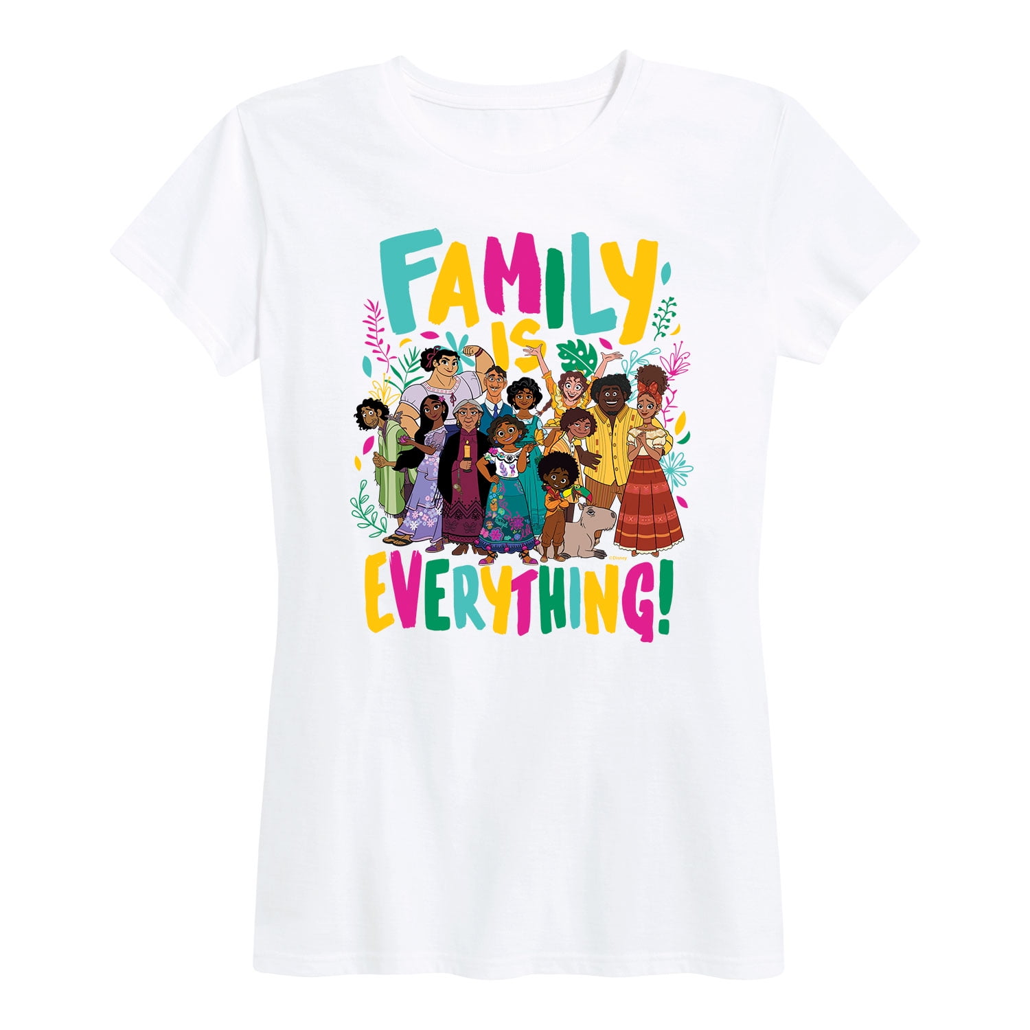 Disney's Encanto - Family Is Everything - Women's Short Sleeve Graphic ...