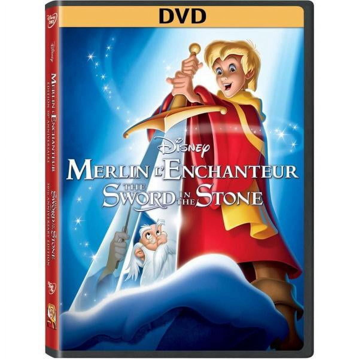 A Kid in King Arthur's Court Spanish and English DVD