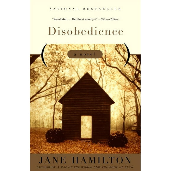 Disobedience : A Novel (Paperback)