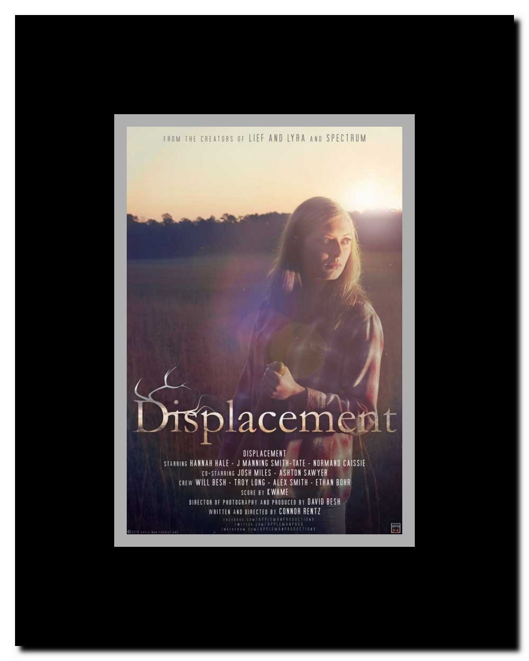 Displacement Framed Movie Poster