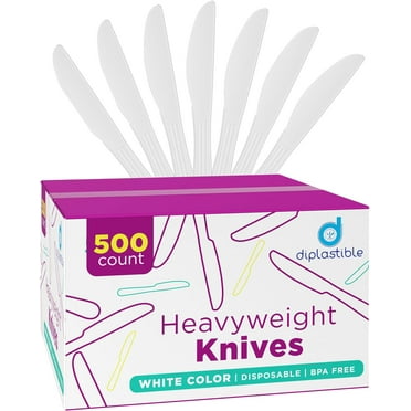 PLASTICPRO Heavy Duty Plastic Soup Spoons Disposable Silverware, 1000 ...