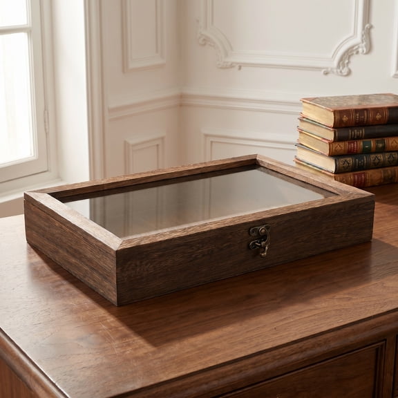 Insect Display Cabinet with Clear Cover, Specimen Storage Box, Interior Bracket, Educational Collection Case for Home Decor