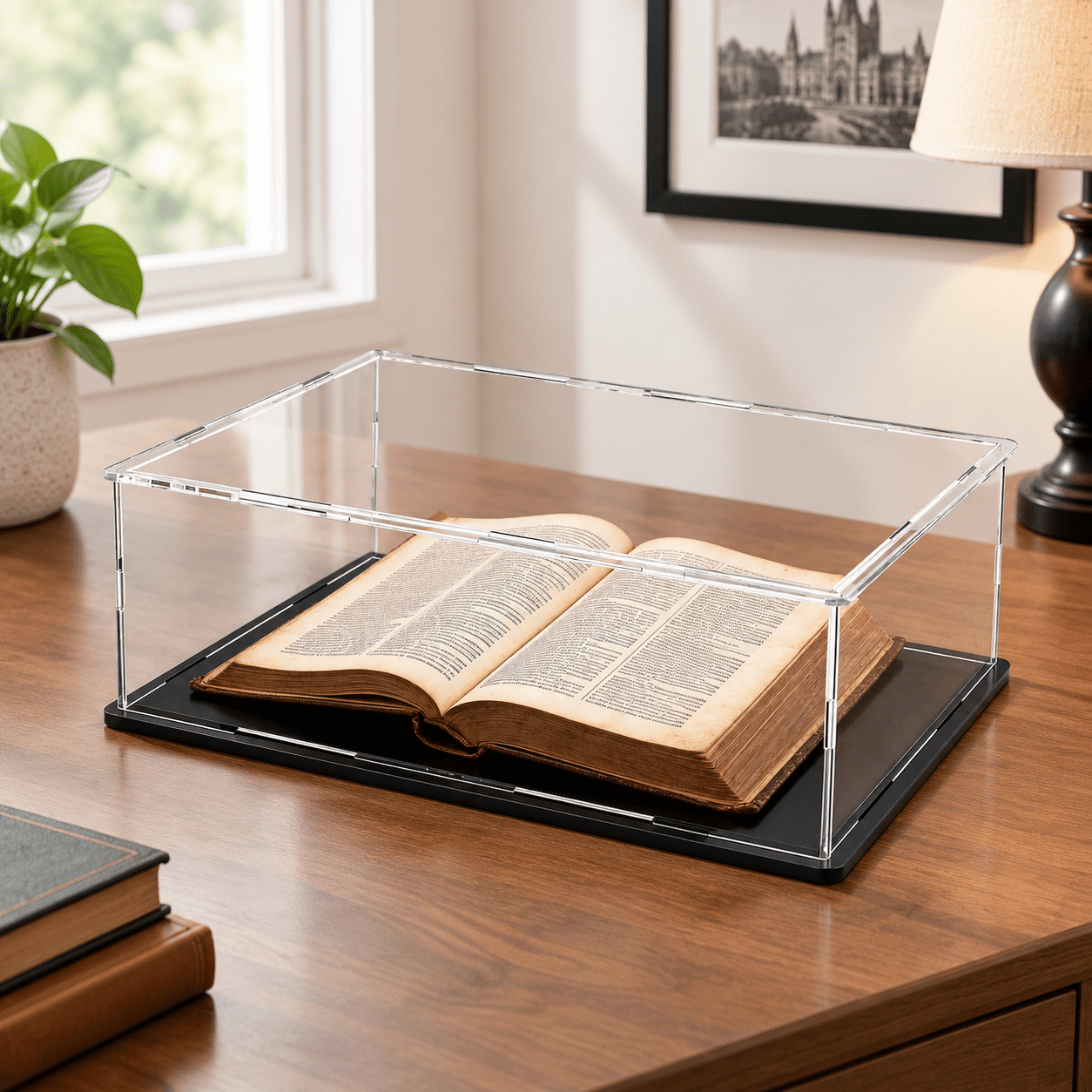 Display Case 16 x 13 x 4 Inch Dustproof Collectible Showcase for Books ...