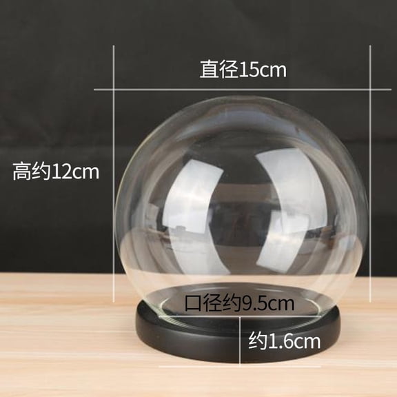 Display Dome with Base Clear Glass Cloche Dome Decorative Bell Jar Display Case