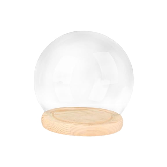 Display Dome with Base Clear Glass Cloche Dome Decorative Bell Jar Display Case