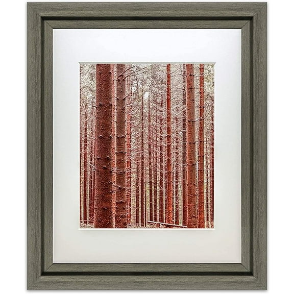 The Display Guys LUXURY MADE AFFORDABLE 2 pcs 8”x10” TEMPERED GLASS Photo Frame in Charcoal Walnut Wood Finish Ridge Molding Elegant and Contemporary.