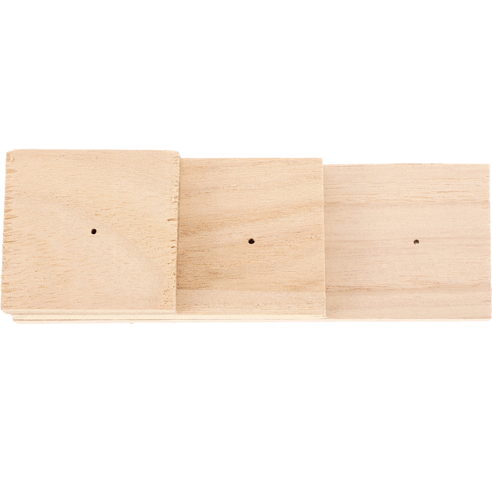 Insect Pinning Block Insect Display Stand Insect Specimen Mounting Kit Butterfly Pinning Specimen Display Block 7718365c D839 4066 A8a6 D22595eb9524.d9e8d998cf126e7d06ebf9c27f6d61bb