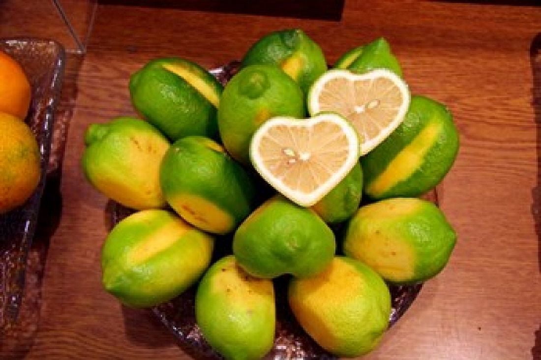 Display of fresh heart shaped limes Tokyo Japan Canvas Art - Kymri Wilt DanitaDelimont (26 x 17)
