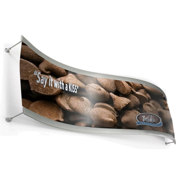 Displays2go, Curved Poster Frames for Wall, Aluminum, Plastic Construction Silver Finish, Clear Lens (WMWV4518)