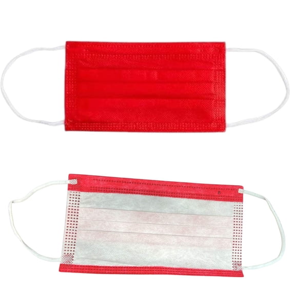 Disposable 3-Ply Face Masks with Elastic Earloops: 10CT
