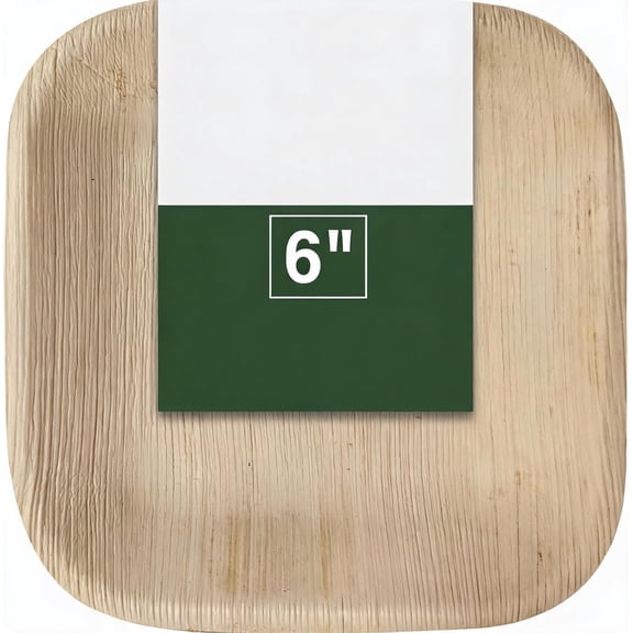 Disposable Bamboo 6 Inch Square Plates 200 Count