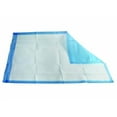thumbnail image 1 of Disposable Breathable Incontinence Bed Pads, Absorbent Waterproof Portable Mattress Underpads 17" x 24", Perfect for for Kids, Elderly and Pets (Pack of 50), 1 of 4