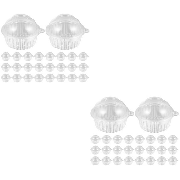 Disposable Cake Box 100 Pcs Individual Cupcake Holders Bakery Boxes with Cover Transparent Clear The Pet