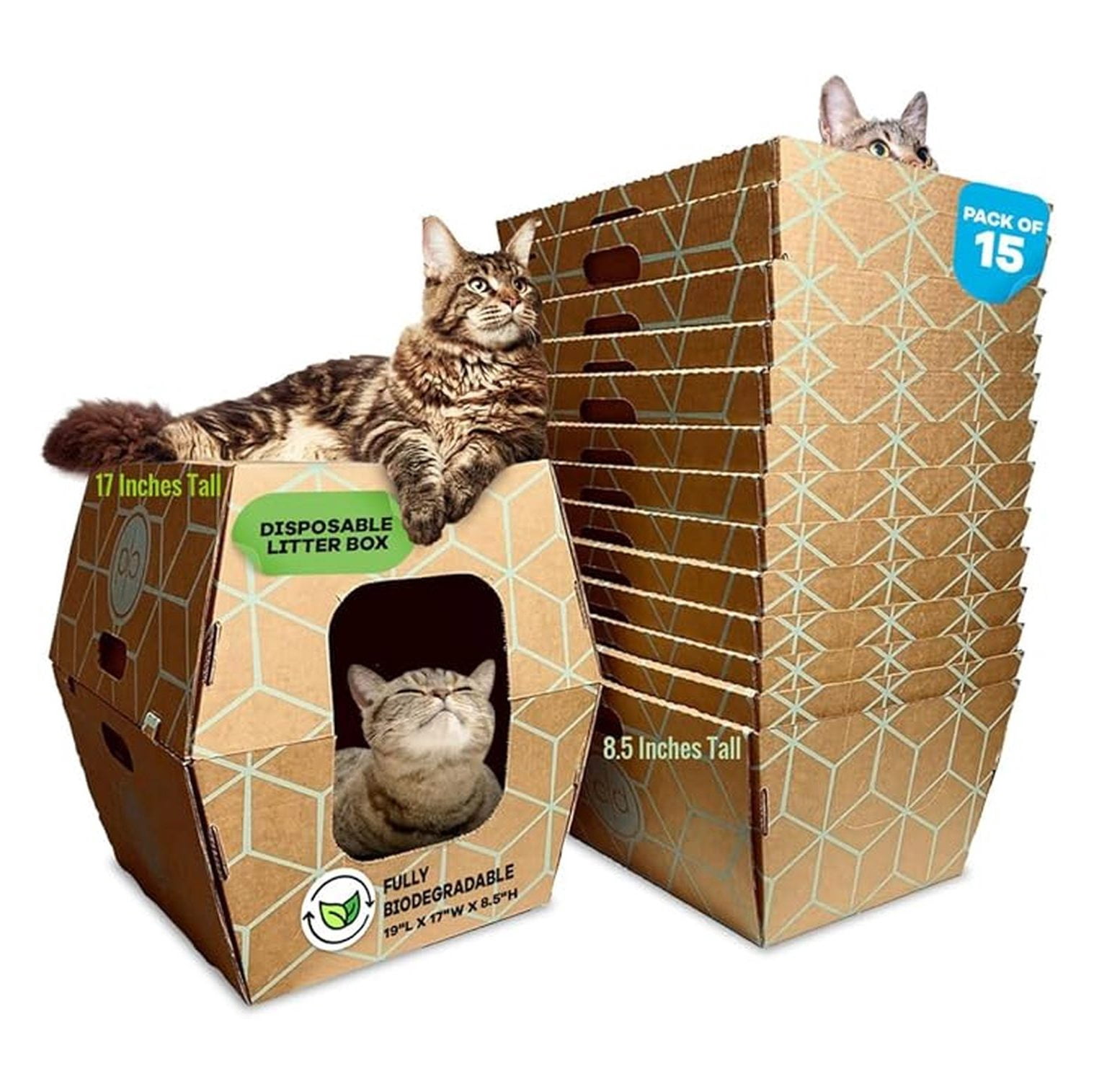 Disposable Cat Litter Boxes 15 Pack - Tallest Low Entry Design 19x17x8.5in - Leakproof Cat Litter Tray - Versatile Open/Closed Use - Cat Care Essentials