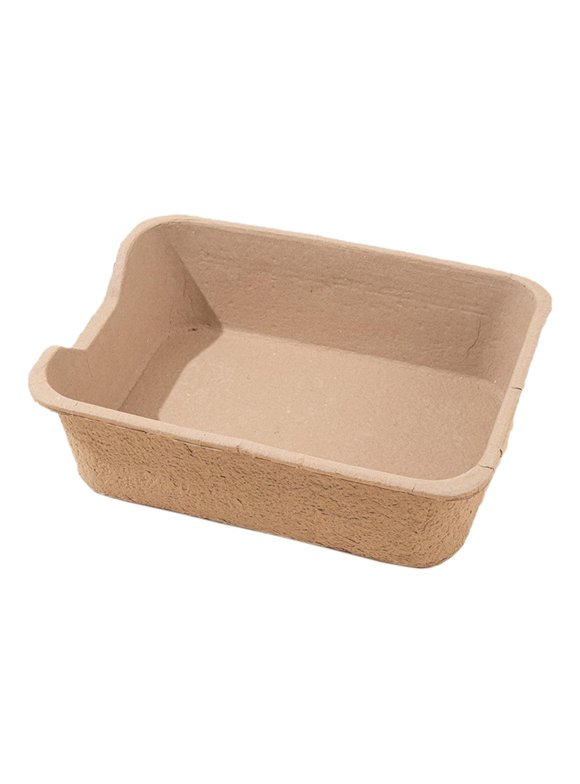 Disposable Litter Boxes in Cat Litter Boxes
