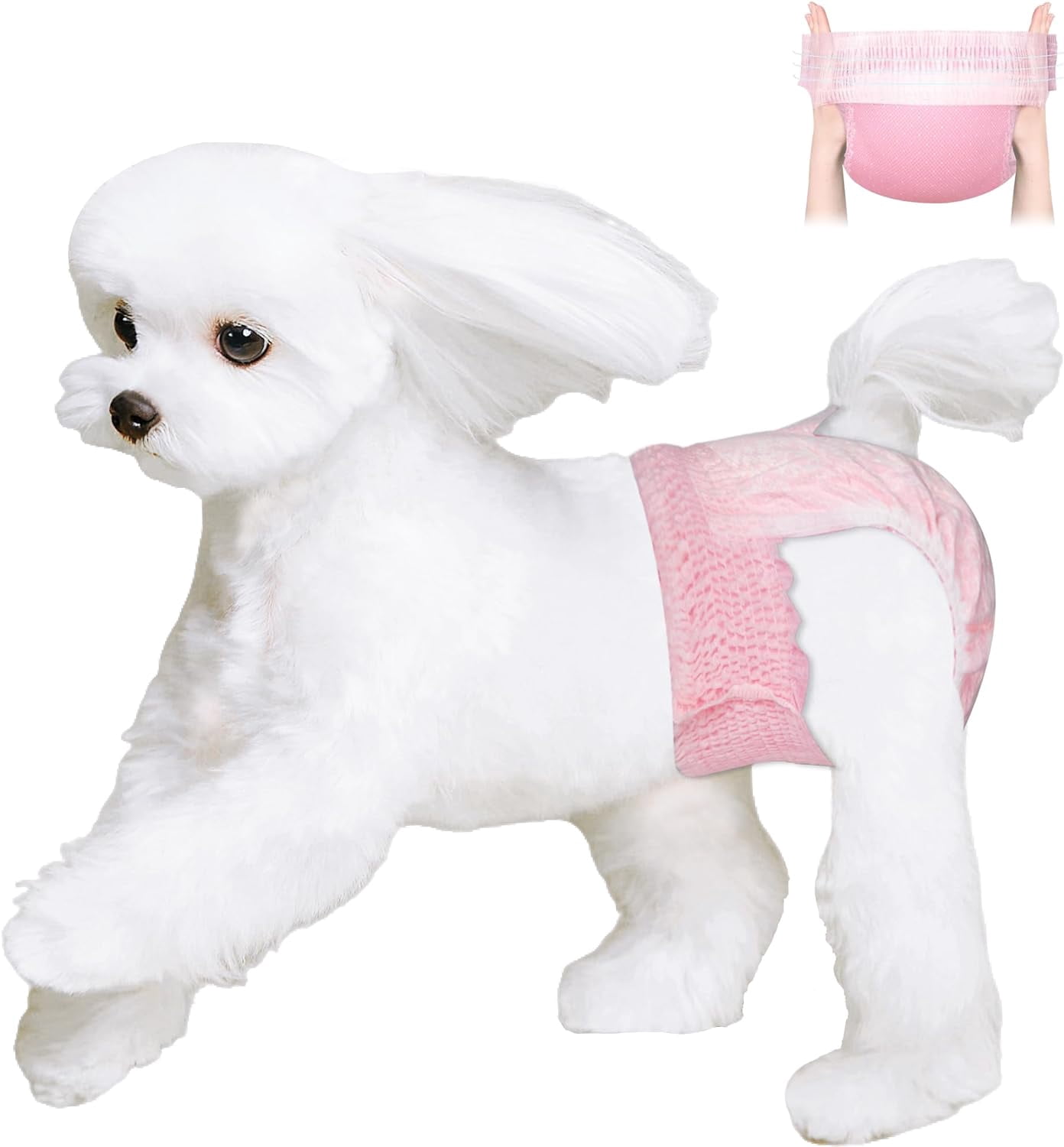 Disposable Dog Diapers Female, Just Pull It Up, Doggie Diapers for Female Dogs, Strong Absorbency | Leak Proof, for Dogs in Heat | Elderly | Disabled, M 10 PCS