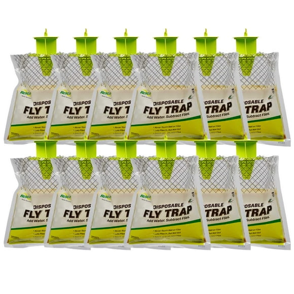Disposable Fly Trap, 12 ct