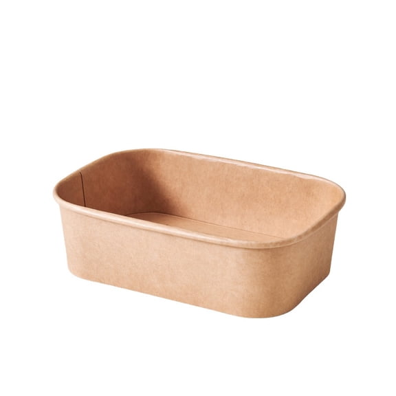 Disposable Kraft Paper Lunch Boxes - 10 Pack for Camping, Picnics, and Gatherings