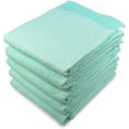 thumbnail image 1 of Disposable Light Absorbency Underpad, 17" x 24", 100 Count, Disposable Chucks, Bed, Furniture & Surface Protection, For Kids, Adults, Elderly, Puppy Pad, Changing Pad, Incontinence Pee Pad, 1 of 6