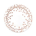 thumbnail image 1 of Disposable Paper Plates 10 Pack-White And Rose Gold Plates &Rose Gold Dot Napkins ,Paper Plate And Napkins Party Supplies for Birthdays,All Occasionsharlik, 1 of 8