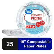 Disposable Patterned Paper Plates, 10 inch, 25 Count