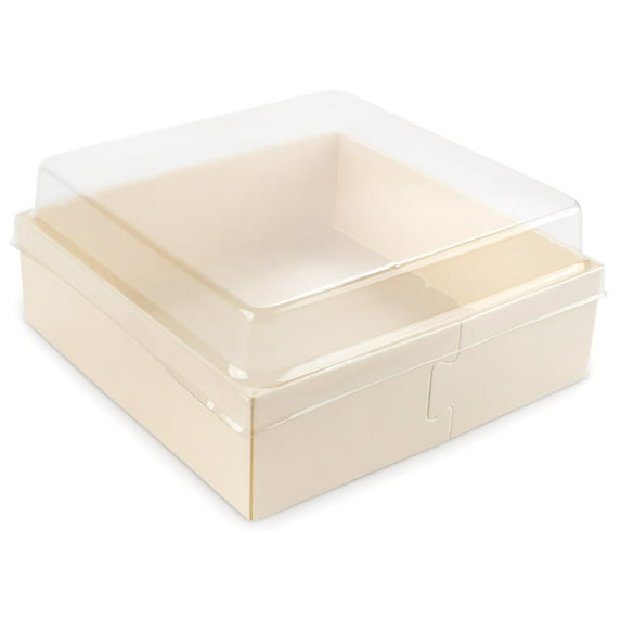 Disposable Plastic Lids - 4.7"x4.7" - 100 Pieces - Square