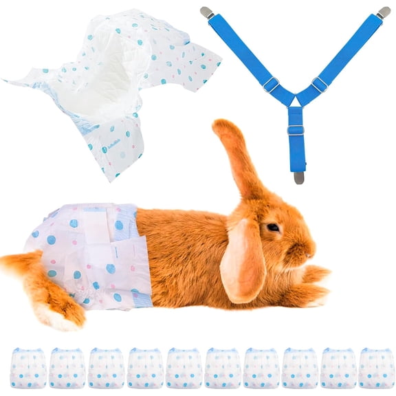 Disposable Rabbit Diapers,Small Pee Pads,with Rabbit Suspenders for Diapers Female,Squirrel Diapers,for Bunny Guinea Pig Kitten Hedgehog Sindoor and Outdoor Activities.(10PCS)
