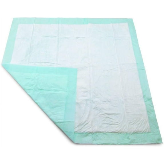 Disposable Underpad, 23 inches X 24 inches, Blue (100) Count