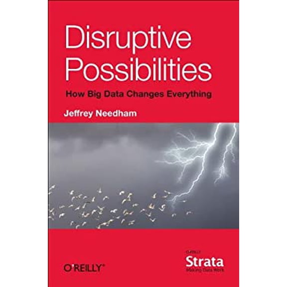 Pre-Owned Disruptive Possibilities: How Big Data Changes Everything (Paperback) 1449369677 9781449369675