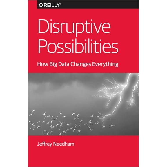Disruptive Possibilities: How Big Data Changes Everything (Paperback)