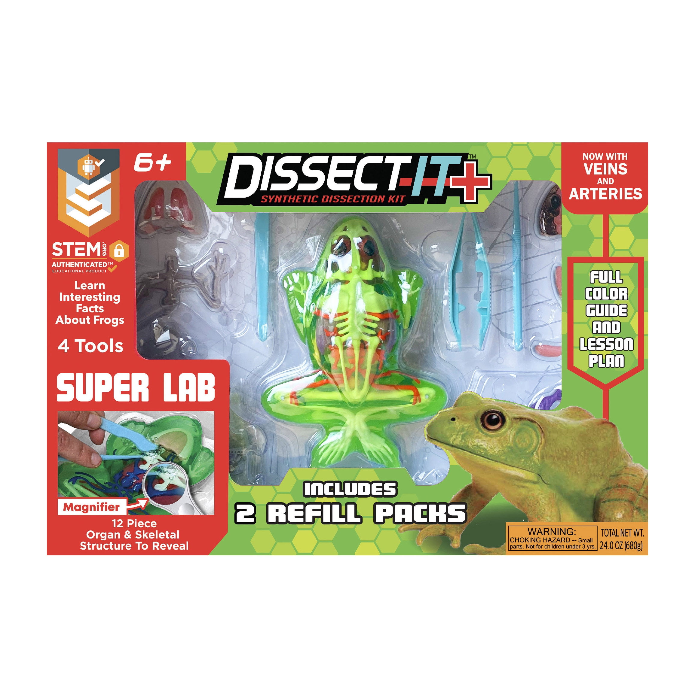 Dissect-It Synthetic Dissection Kit, Safe Frog Anatomy, STEM