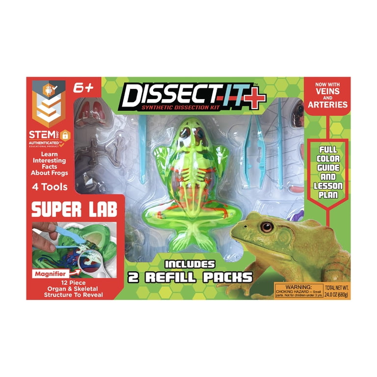 Dissect-It Synthetic Dissection Kit, Safe Frog Anatomy, STEM