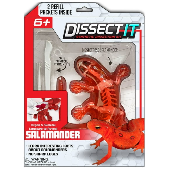 Science Toys in STEM Toys - Walmart.com