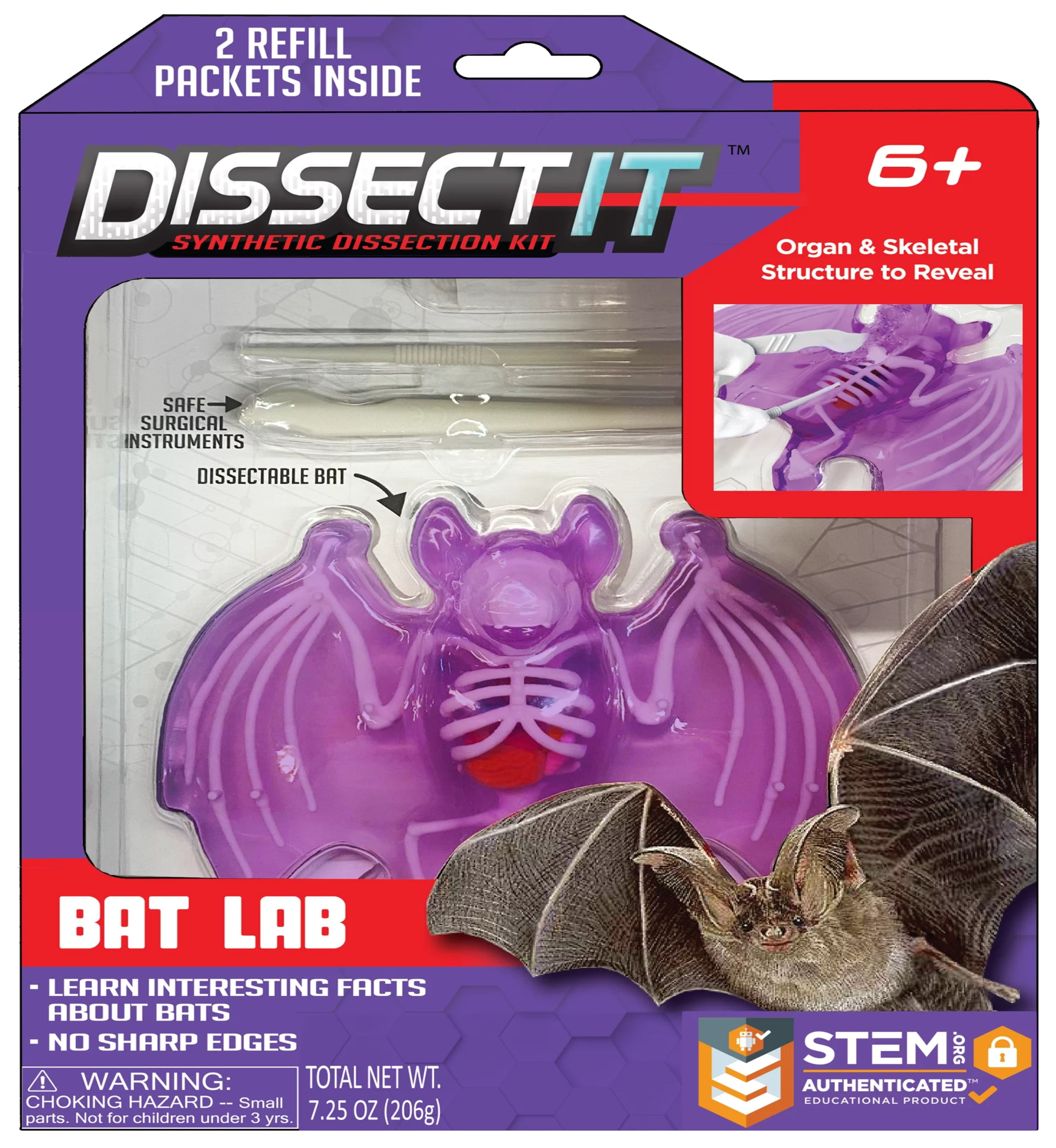 Dissect-It Simulated Synthetic Lab Dissection Bat, Stem Projects for Child Ages 6+, Animal Science, Anatomy