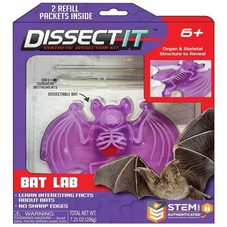 Dissect-It Synthetic Bat Dissection Kit, STEM Learning, Anatomy