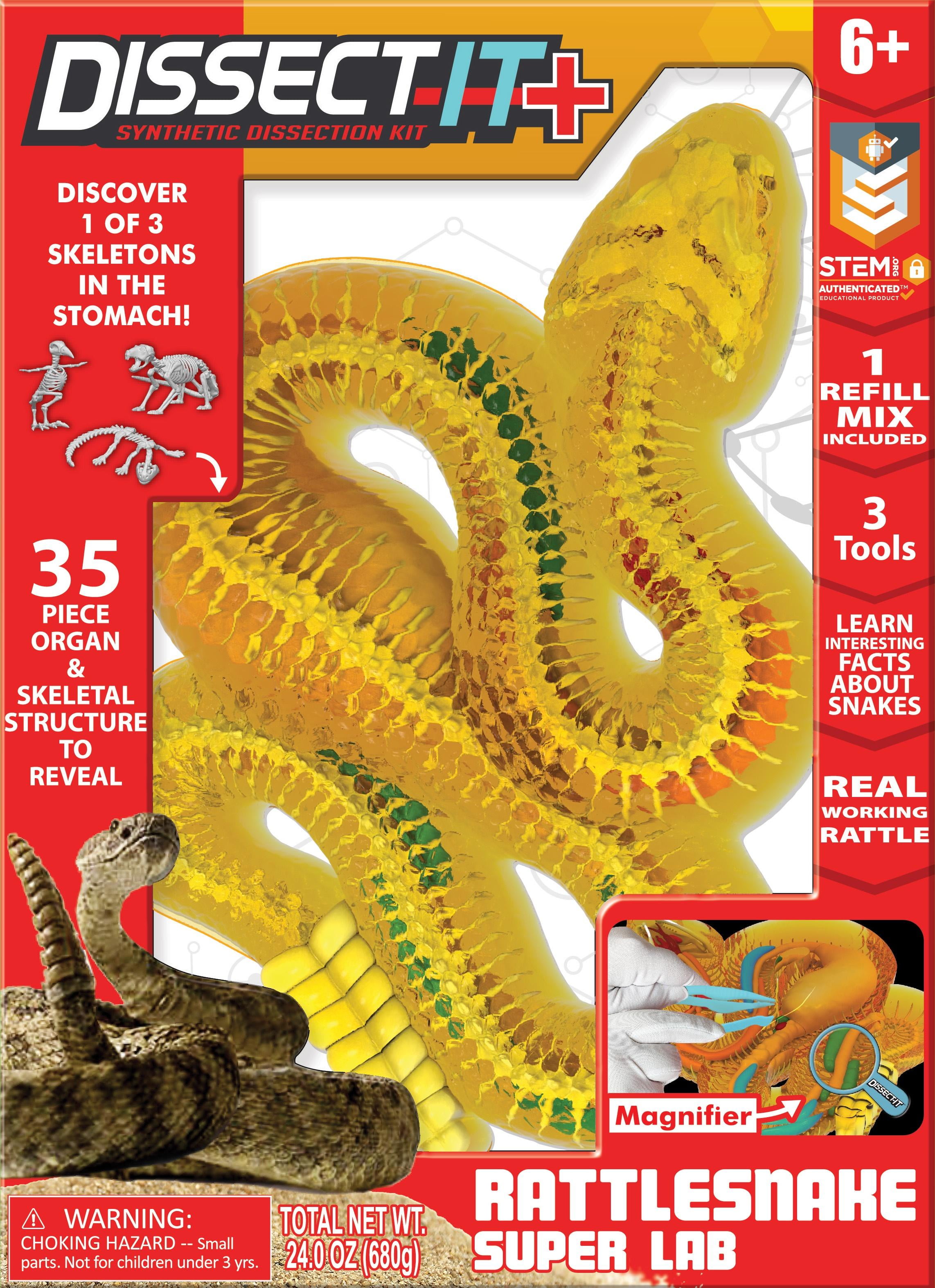 Dissect It Synthetic Rattlesnake for Elementary Science Classes
