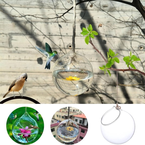 Disseminators Garden Feeder Humming Glass Outdoor Bird Nourishment Station for Garden Manual Craftsmanship Smart Bird Feeder 10cm