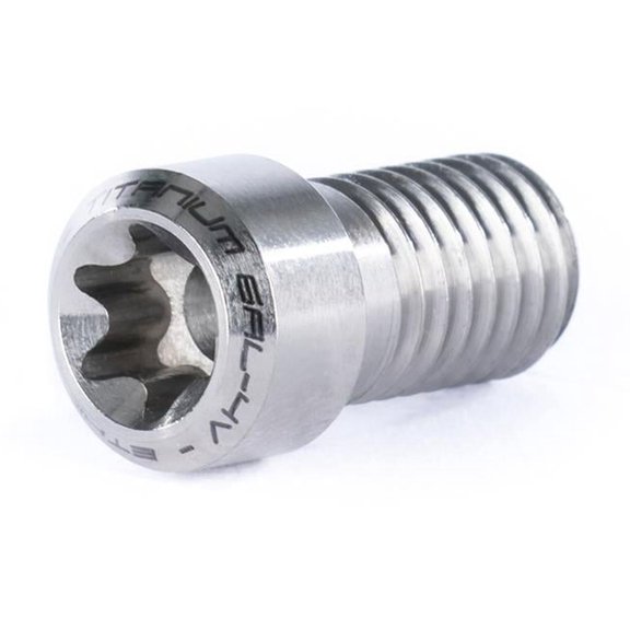 Dissidence Ethic Titanium Clamp Screw Raw
