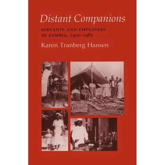 Pre-Owned Distant Companions (Paperback) 0801495466 9780801495465