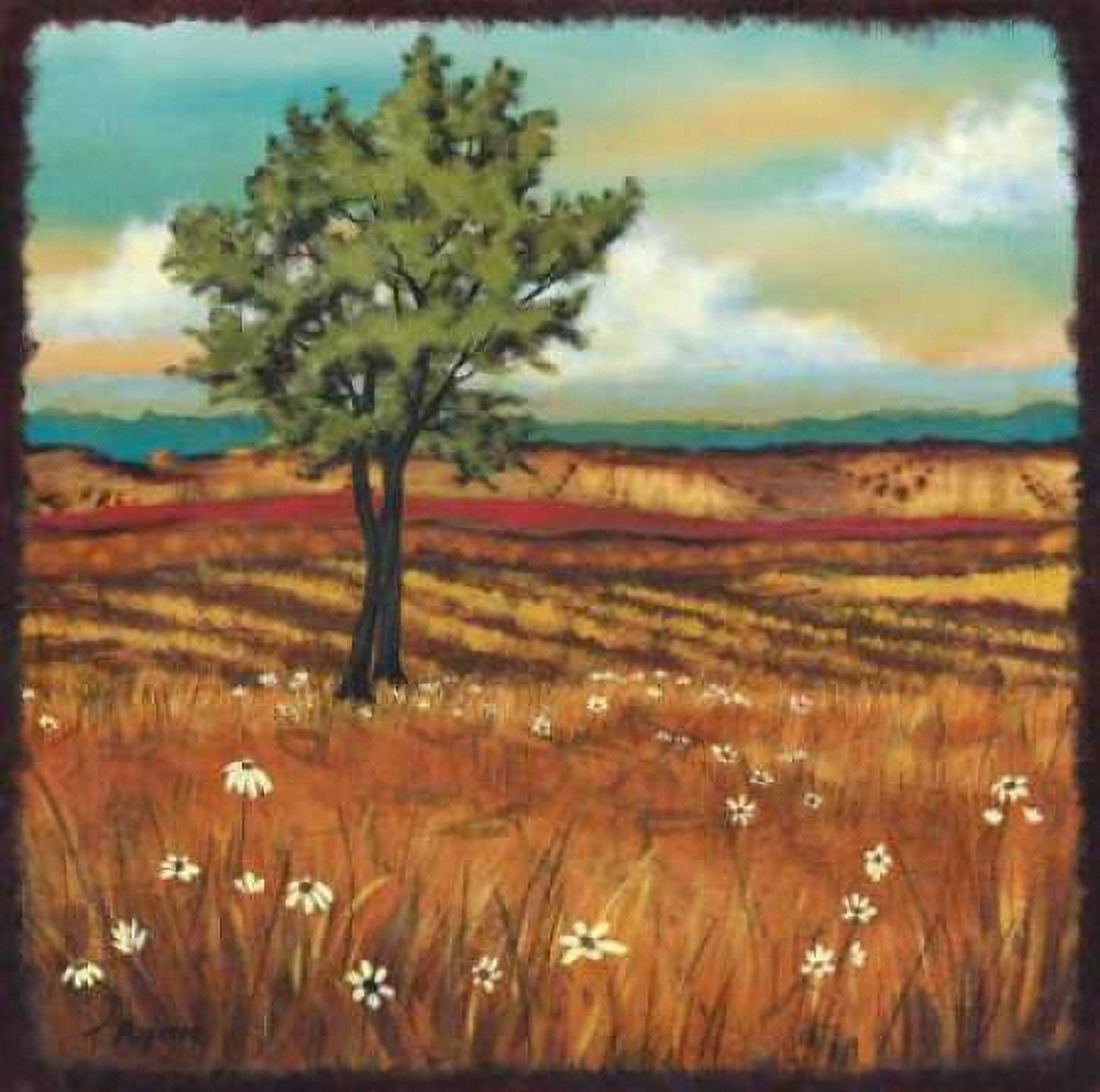 Distant Fields II Canvas Art - Tamara Angeney (24 x 24)