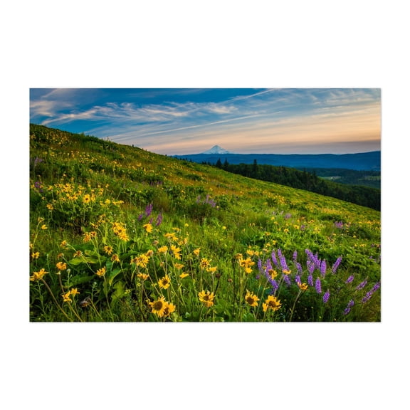 Distant Mount Hood - Oregon Photography Landscape Nature Mountain Flowers Scenic Floral Summer Unframed Wall Art Print 4 x 6 inches