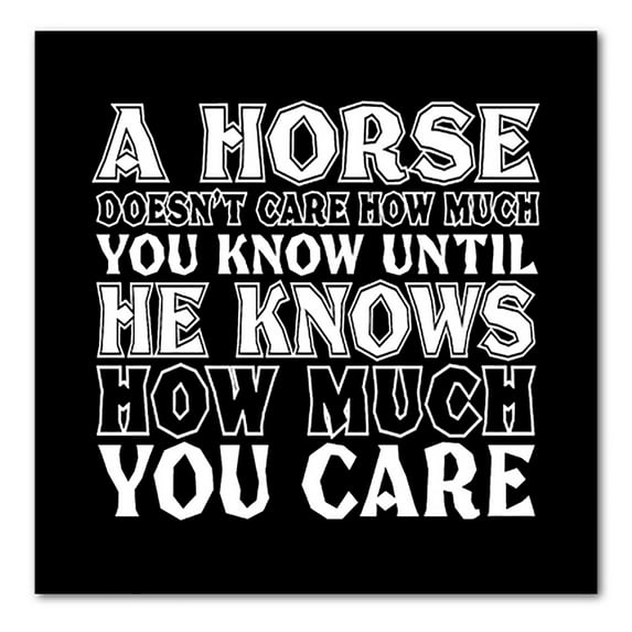 DistinctInk Custom Bumper Sticker - 10" x 10" Decorative Decal - Black Background - Horse Doesn't Care How Much You Know
