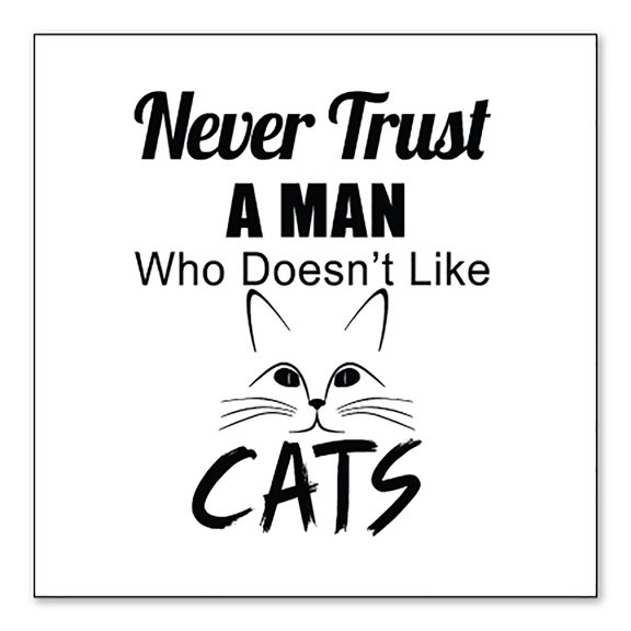 DistinctInk Custom Bumper Sticker - 10" x 10" Decorative Decal - White Background - Never Trust Man Who Doesn't Like Cats