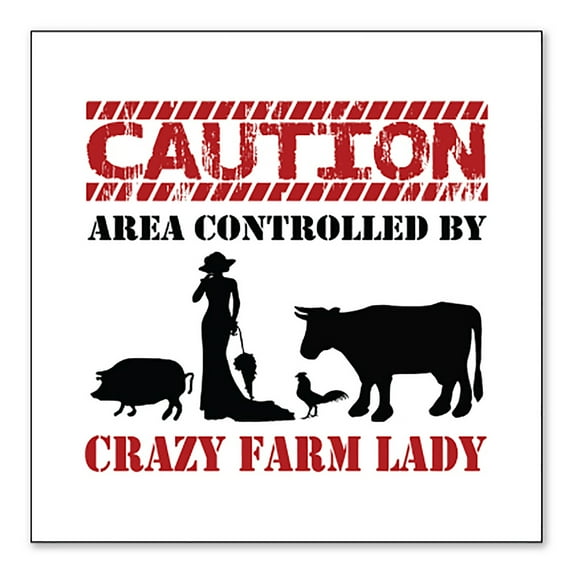 DistinctInk Custom Bumper Sticker - 3" x 3" Decorative Decal - White Background - Area Controlled By Crazy Farm Lady