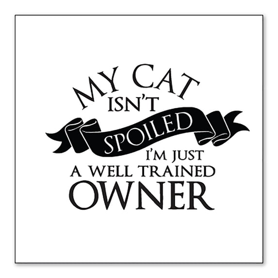 DistinctInk Custom Bumper Sticker - 3" x 3" Decorative Decal - White Background - Cat Isn't Spoiled Well Trained Owner