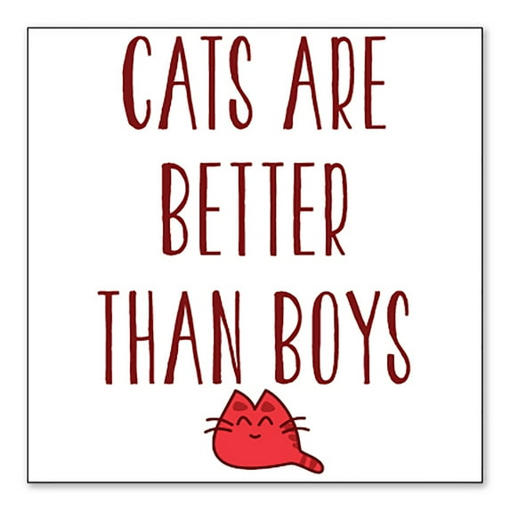 DistinctInk Custom Bumper Sticker - 3" x 3" Decorative Decal - White Background - Cats Are Better Than Boys