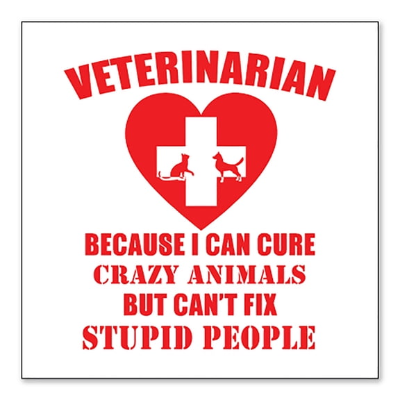 DistinctInk Custom Bumper Sticker - 3" x 3" Decorative Decal - White Background - Vets Cure Crazy Animals But Can't Fix Stupid