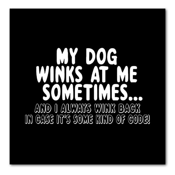 DistinctInk Custom Bumper Sticker - 4" x 4" Decorative Decal - Black Background - My Dog Winks at Me Sometimes