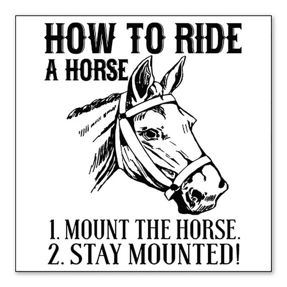 DistinctInk Custom Bumper Sticker - 4" x 4" Decorative Decal - White Background - How To Ride a Horse - Stay Mounted